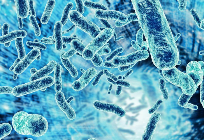 样本收集器微生物成分分析
