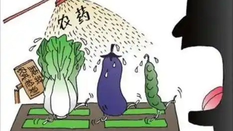 农药残留检测机构-农残检测服务