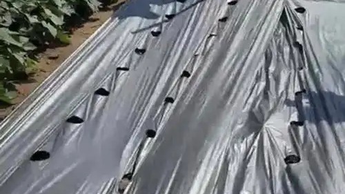 树脂地膜检测机构-树脂地膜检测报告办理